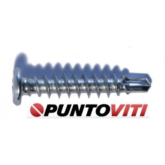 Viti Autoperforanti Testa Piatta Torx Per Ferro E Legno